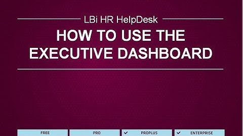 LBi HR HelpDesk - How to Use the Executive Dashboard