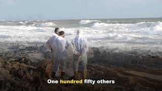 30-Foot Molasses Wave Killed 21 People in Boston (1919 Disaster)