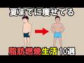 夏までに最速で脂肪を落とす生活10選【雑学】