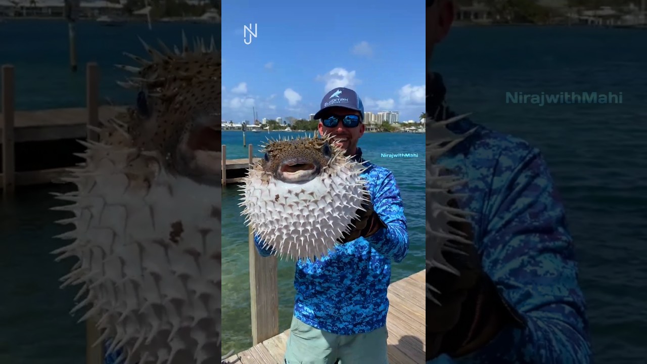 Dont' take this FISH out of the Water! 