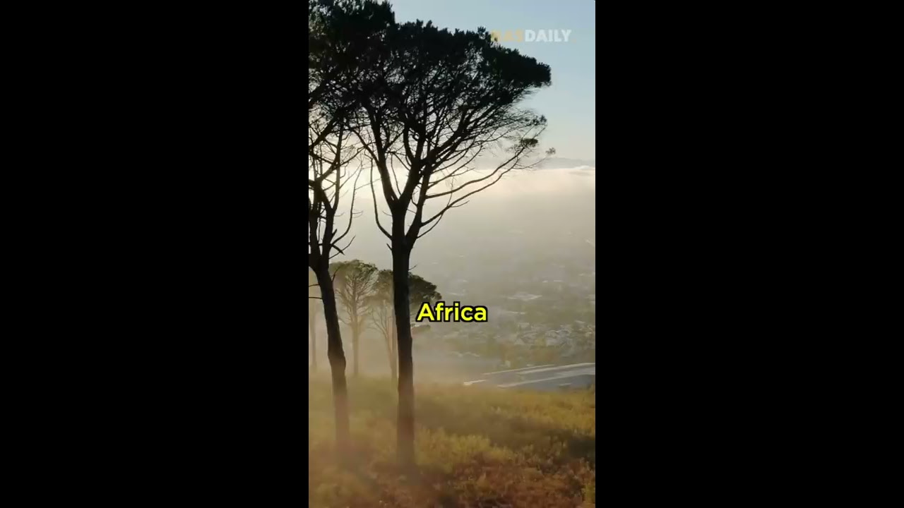 Hidden Truth Of Africa 96