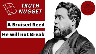 A Bruised Reed He will not Break | Charles Spurgeon, Daily Devotional, Verse of the Day
