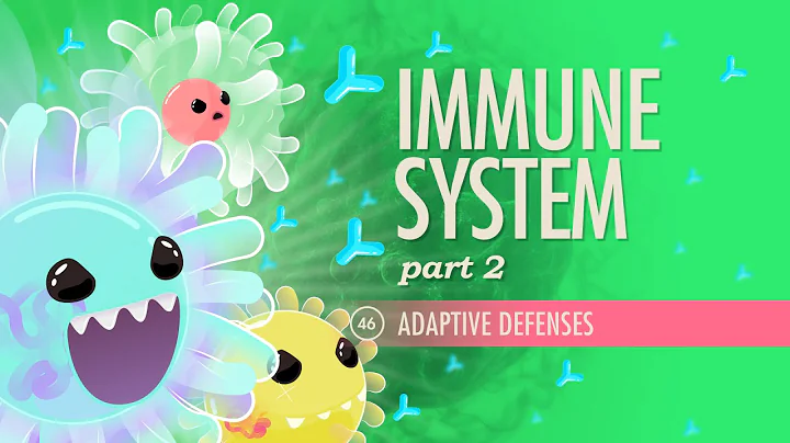 Immune System, Part 2: Crash Course Anatomy & Physiology #46
