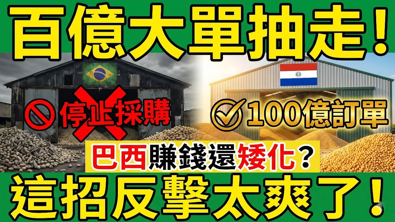 惹錯人了！巴西代表公然矮化台灣，外交部祭出「殺手鐧」霸氣反擊！百億大單直接轉送巴拉圭，讓南美大國付出慘痛代價！【喵知道】