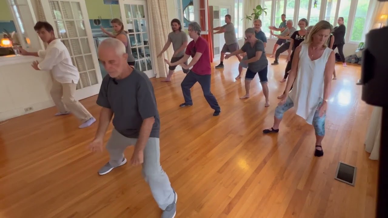 Chen Family Taichi Old Frame First Routine Part 1A - Tai Chi Doctor - Dr Bob Bacher