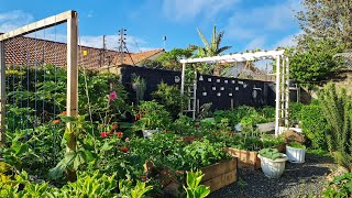 Fruit Trees I’m Growing in My Tiny Garden to Feed My Family 🌱