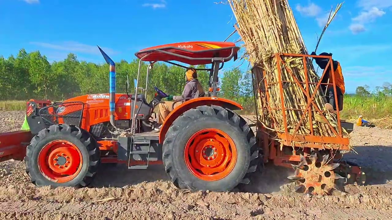 มาชมการปลูกอ้อยของคูโบต้าM8808กันเลย