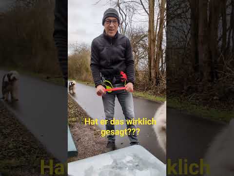 nach der 3 Bandscheiben OP 🙈##fitness #funny #hund #bandscheibenvorfall #shorts