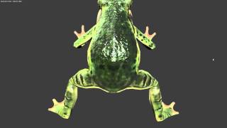UDK Light Transmission Shader