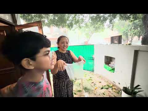Rain, Hail & Peace — An Unfiltered Moment | Delhi Weather | Tibetan Vlogger | Mundgod | Delhi 