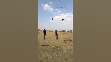 Kite flying 🪁 #kite #kites #patang #kiteflying #kitelover #viral #shorts