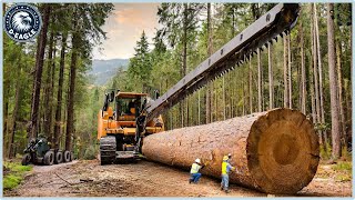 199 Incredible Fastest Big Chainsaw Cutting Tree Machines ▶6