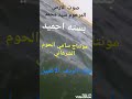 المطرب سيد محمد النوري mp3