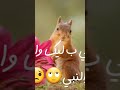 كليب مهرجان عربيتي مركه عرباوي بصوت السناجب الفديو نزل كامل روح اتفرج بسرعه
