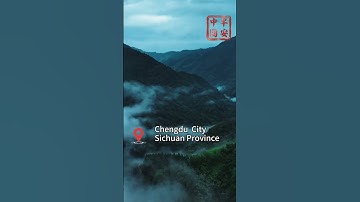 See pandas in Chengdu