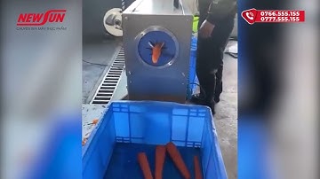 MÁY GỌT CÀ RỐT TỰ ĐỘNG tốt nhất hiện nay