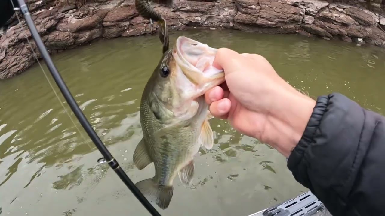 Когда мне нужно обнаружить самые слабые поклёвки, я беру в руки @DobynsRodsTV 755 Xtasy! 