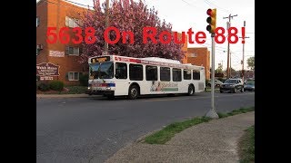 NeoplanDude | SEPTA 2003 New Flyer D40LF #5638 On Route 88, To Holy Redeemer Hospital!