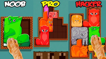 NOOB vs PRO vs HACKER in Puzzle Cats 🙀 What is this cat?!