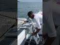 @roswellmarine always a STEP ahead. Universal boarding steps. #boat #fishing #florida #shorts