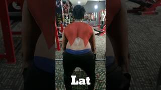 Back day|Everest Gym Arcot