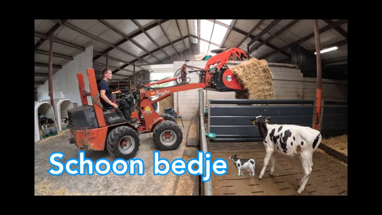 Kalfjes! - Bedjes opmaken - Stro strooien - Dutch farmer