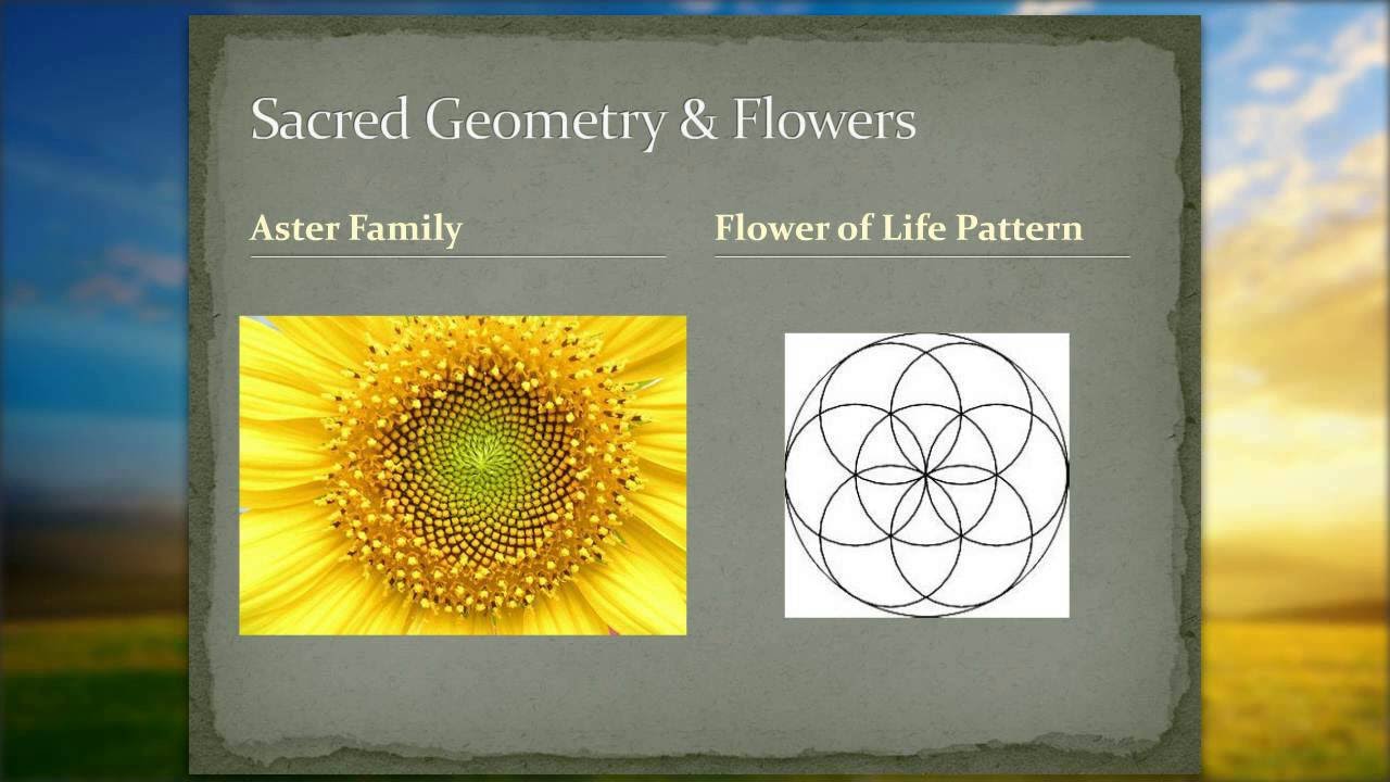 History of Flower Essences Quantum Bach Flower YouTube