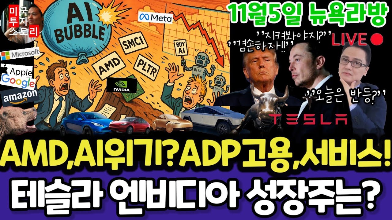 미국주식/AMD 적정주가, 하락과 반도체, ADP 고용?/테슬라 엔비디아 구글 애플 아마존 메타 마이크로소프트 팔란티어 아이온큐 리게티  브로드컴 오라클 슈마컴 UNH LLY 노보