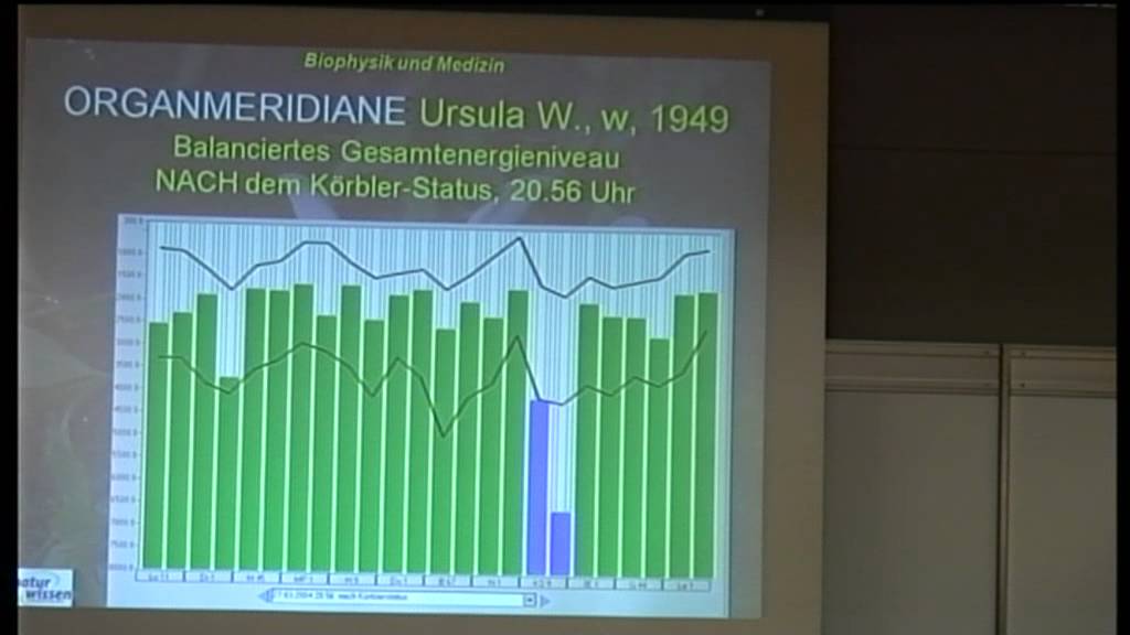 3/3:Mag.Ölwin H.Pichler:Energie+Information f.Selbstregulation,Heilung im menschlichen Organismus