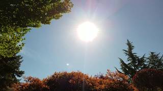 Eclipse Seattle 2017 92% Totality