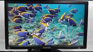 TESTE 2022 0012 MONITOR POSITIVO 19EB13PW