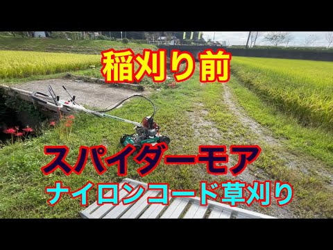 スパイダーモア、エンジンがかからない💦稲刈り前、草刈りです！実は