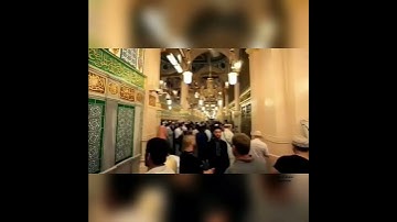 تلاوة قرأنية ماشاء الله تعالى #الأربعطاش
