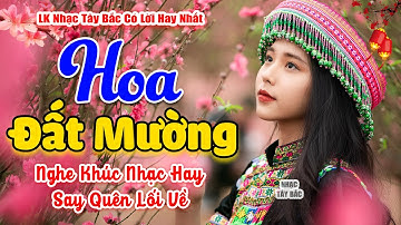LK Nhạc Tây Bắc REMIX 2024 | HOA ĐẤT MƯỜNG | Nghe Khúc Nhạc Tình BASS Đập Sập Sình Vang Khắp Bản