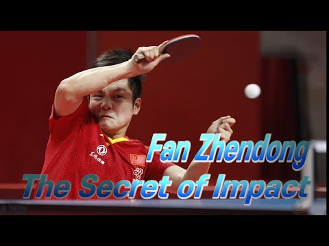 판젠동 임팩트의 비밀 | <strong>Fan</strong> Zhendong | 樊振东 | 2020 Chinese <strong>warm</strong> up matches for Olympics
