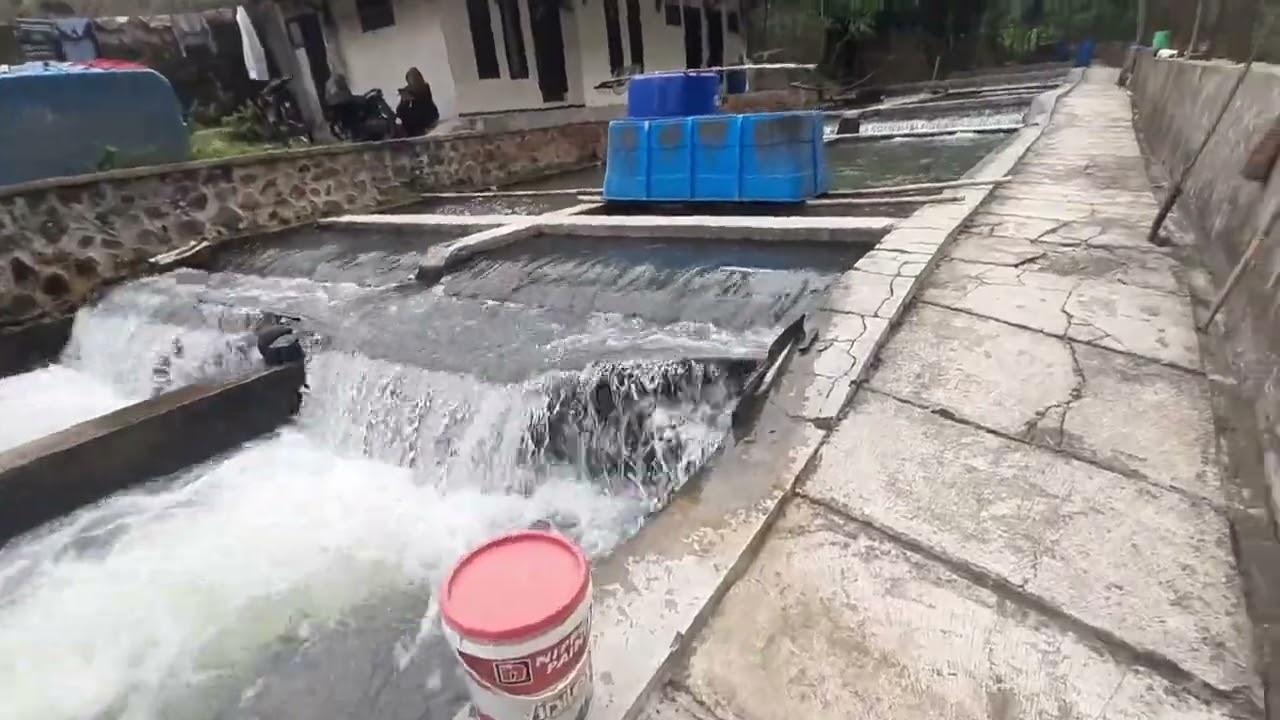 Jual Kolam ikan air deras tanjung siang subang