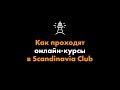 Как проходят онлайн-курсы в Scandinavia Club?