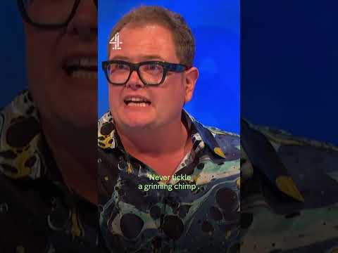 Cats Does Countdown is back tonight at 9pm on Channel 4.