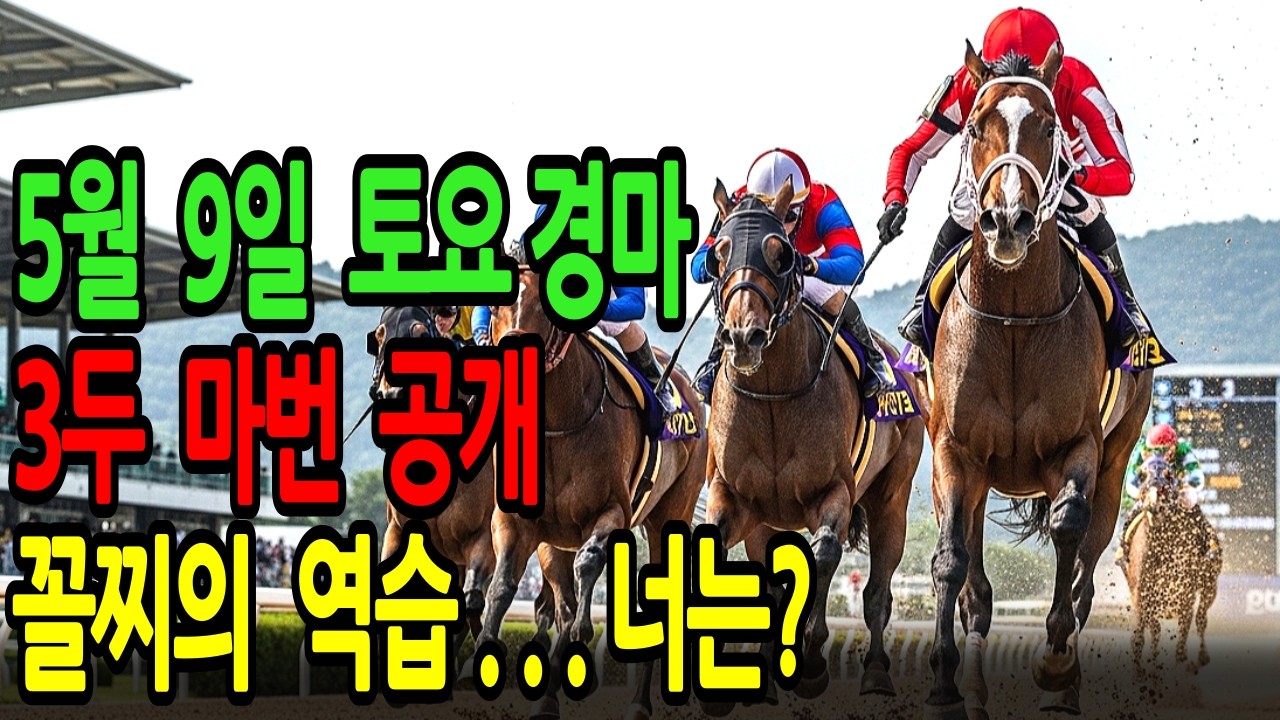 5월 9일 토요일 경마~ 역전승의 짜릿함, 이제 당신 차례입니다ㅣ승전경마 전문가의 이변 포착 l 경마 l 경마예상 l 코리아레이스 l 검빛경마 ㅣ경마정보