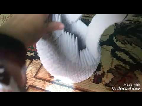 Арқалы порно HD Егде әйелдер порно видео