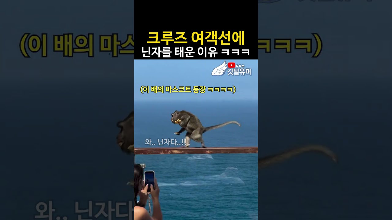 이 원숭이 이름 아시는분 ㅋㅋㅋㅋㅋㅋ
