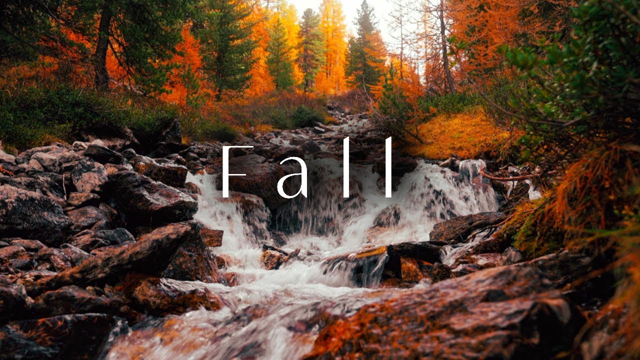 Magical Autumn Forest in 4K • Nature Relaxation • Peaceful Music