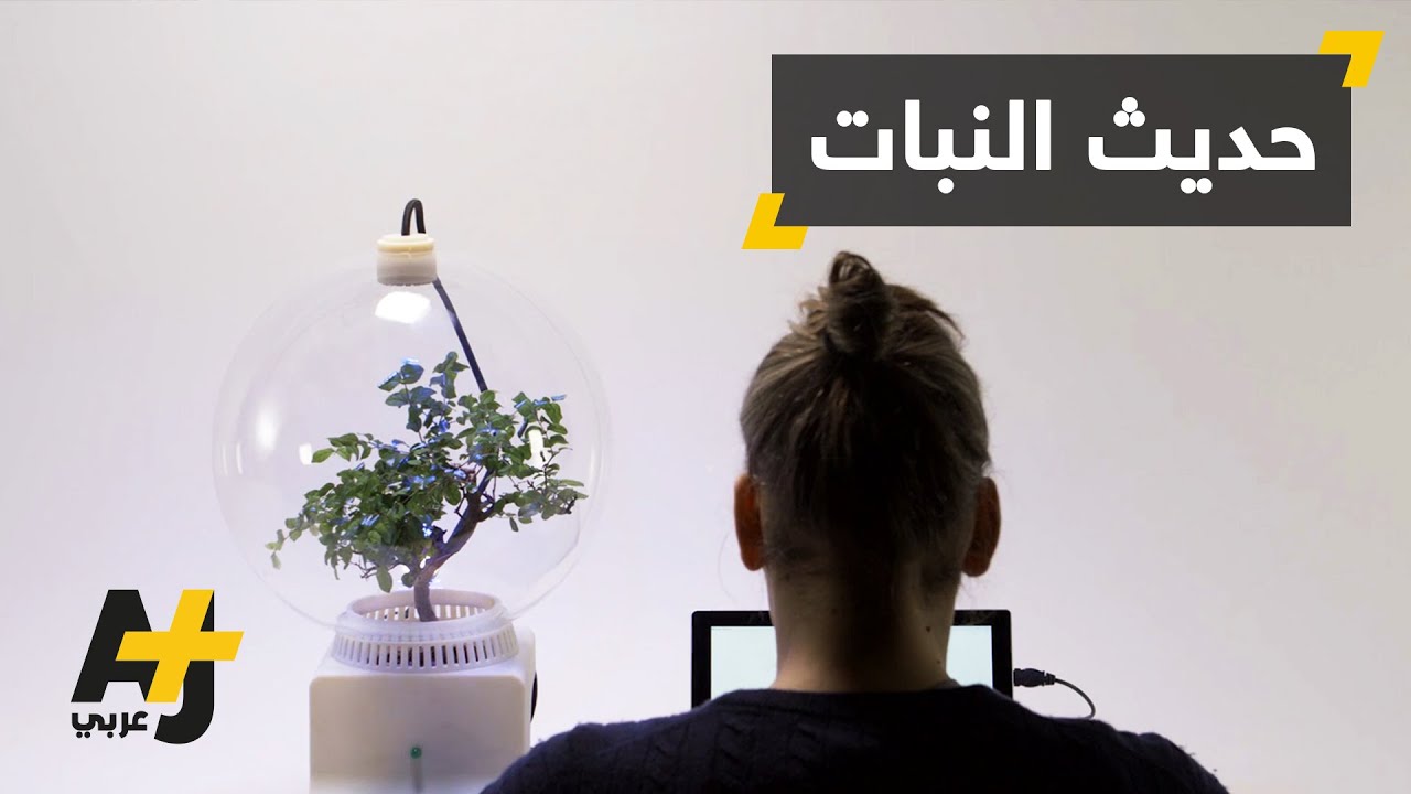 نباتات تتحدث