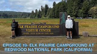 Pacific Northwest Road Trip: Episode 19- Elk Prairie Campground, Redwood National Park (California)