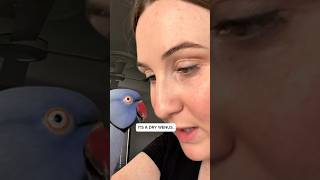 Steve Ne Regarde Pas Cette Vidéo.