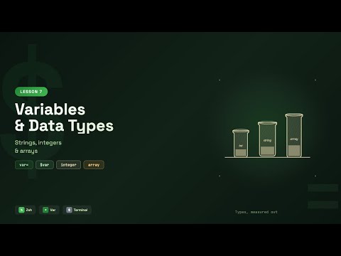 Zsh Variables & Data Types - Shell Scripting Tutorial for Beginners (Lesson 7)