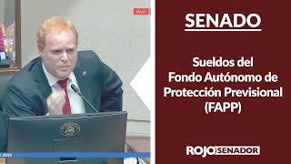 Sueldos Del Fondo Autónomo De Protección Previsional Fapp