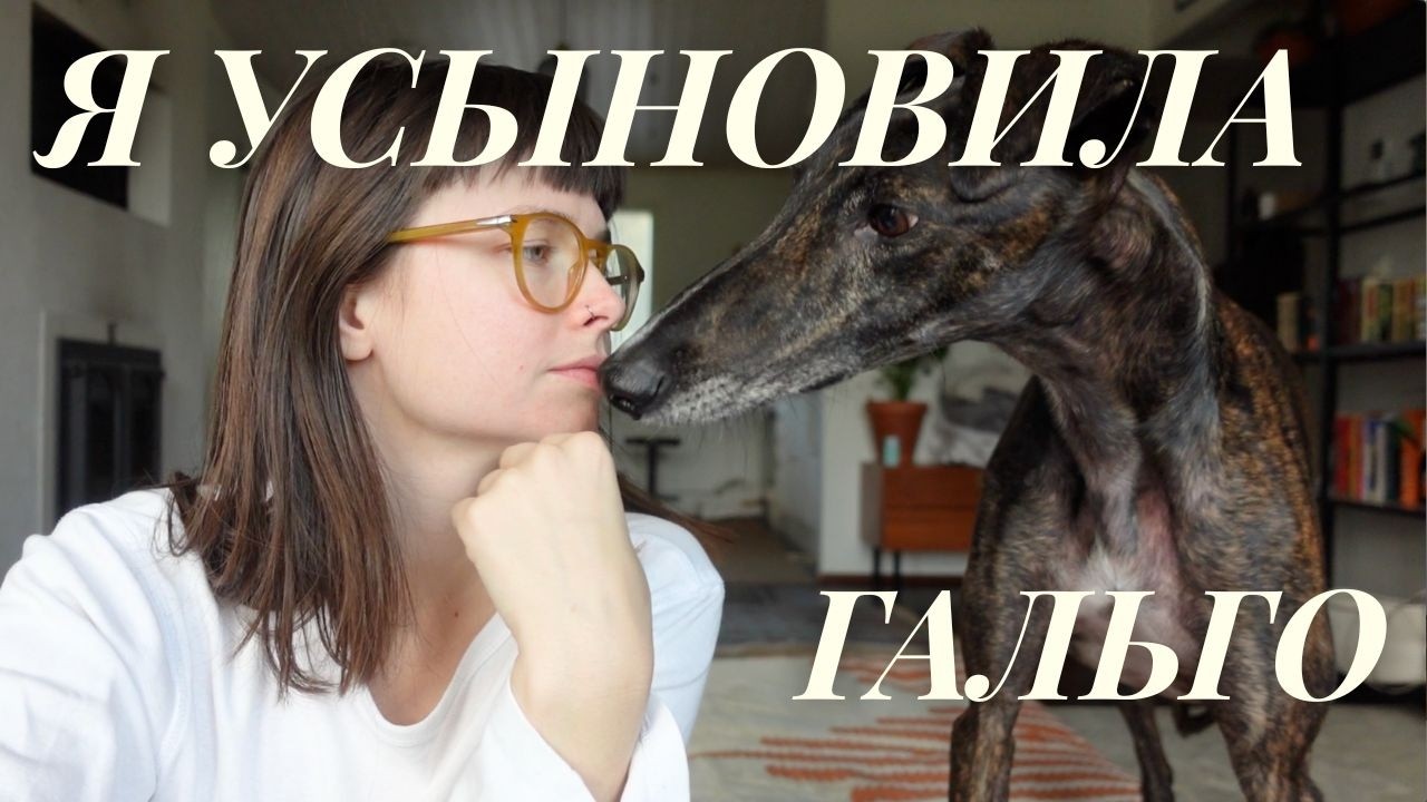 Latest Title & Thumbnail