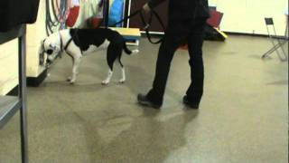 NW Intro to Odor Class 2 Ex 2 Maggie Moo.mpg