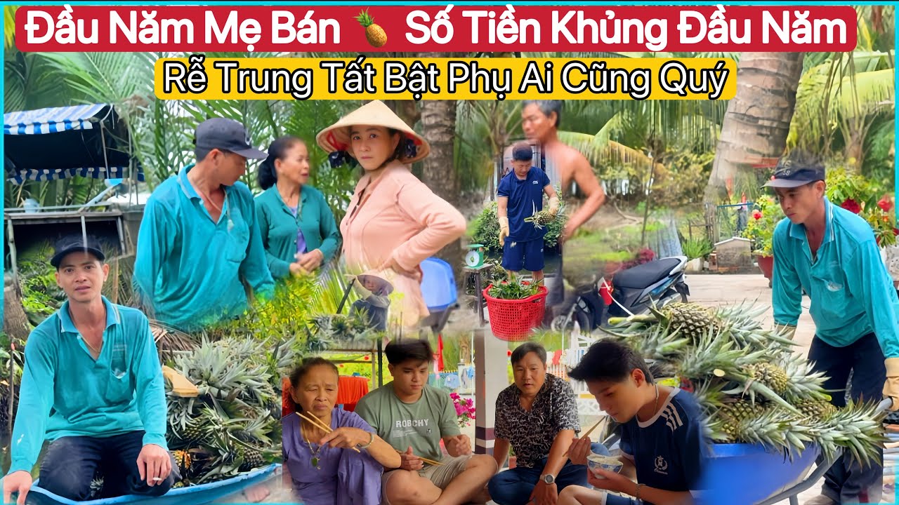 #136🇻🇳🇨🇳Còn Vài Hôm Nữa Về Lại Trung Quốc Rồi.Đầu Năm Mẹ Thu Hoạch Khóm (Dứa) Tiền Khủng 